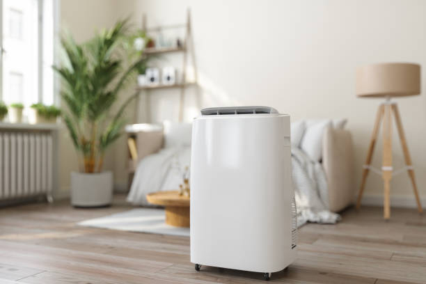Best Ductless Mini-Split Systems in Unalaska, AK